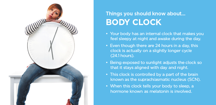 Working Body Clock BodyClock | Foamite
